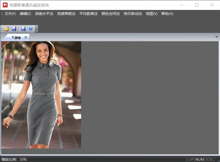豪门国际官网影像真伪鉴定系统