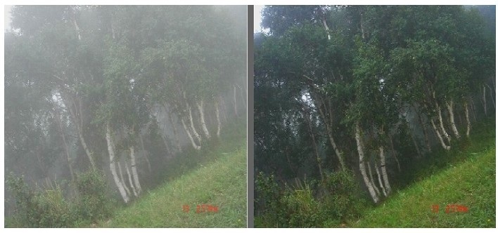 权门国际官网-钻营健全,你我一路成长